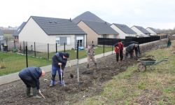 Plantations Cavalier   027